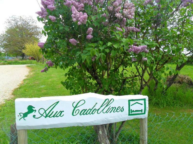 Bed and Breakfast Aux Cadollines à Romenay Extérieur photo